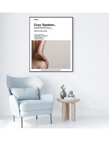 Affiches Cryo System A2